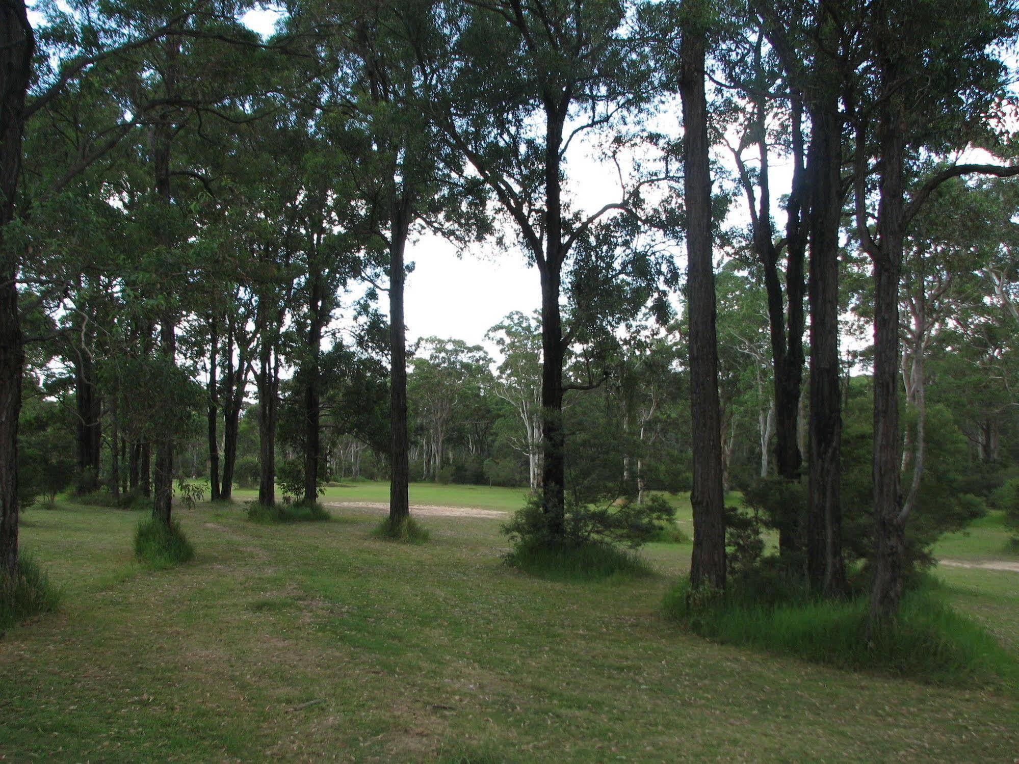 Lovedale Cottages Hunter Valley Buitenkant foto